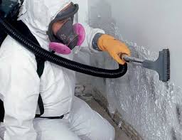 Best Asbestos and Lead Testing During Mold Inspection in Falls City, NE